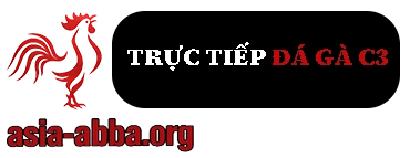 ĐÁ GÀ C3 | XEM TRỰC TIẾP ĐÁ GÀ THOMO KHÔNG MẤT PHÍ