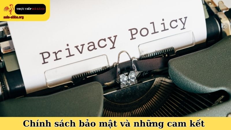 Chính sách bảo mật và những cam kết của website Đá Gà C3