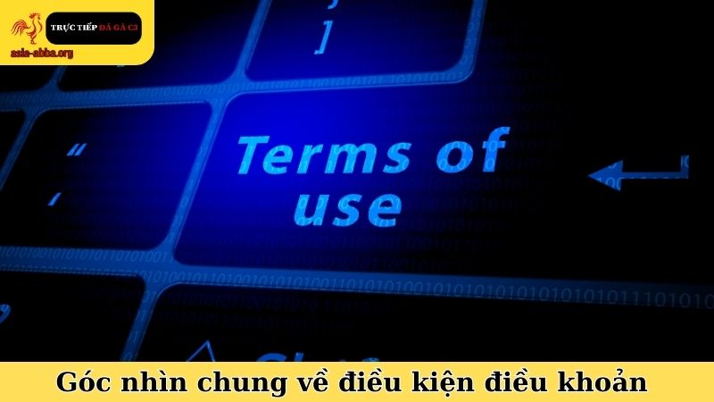 Góc nhìn chung về hệ thống điều kiện điều khoản của website