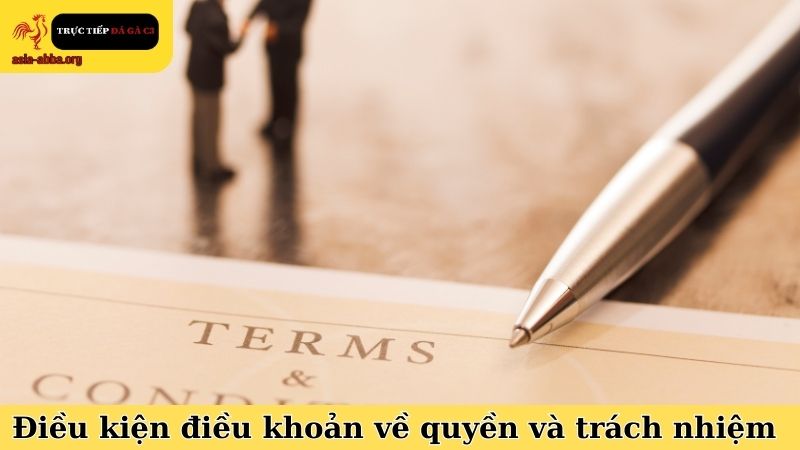 Điều kiện điều khoản về quyền và trách nhiệm người dùng