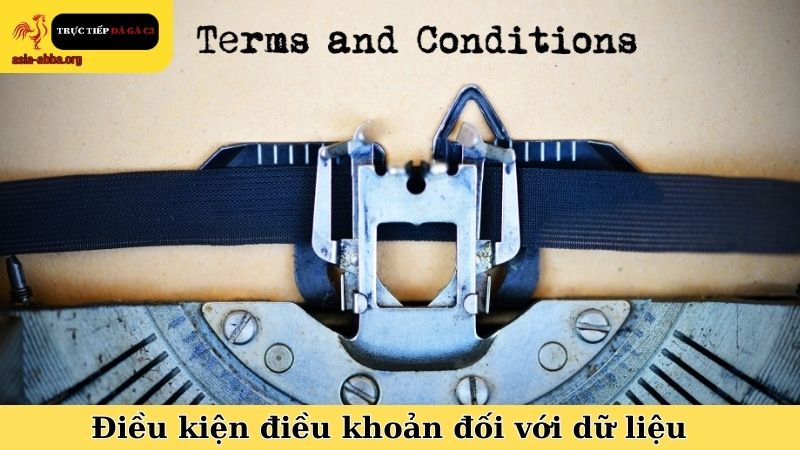 Điều kiện điều khoản đối với dữ liệu của người truy cập