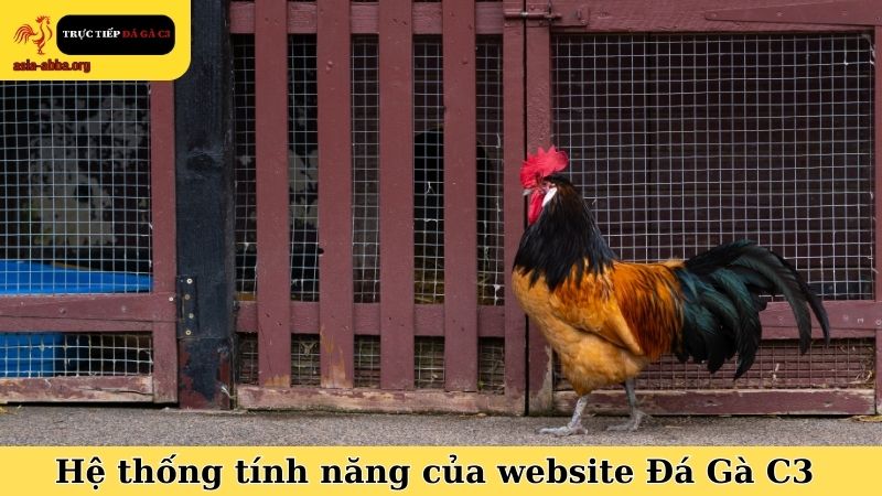 Hệ thống tính năng đỉnh cao của website Đá Gà C3