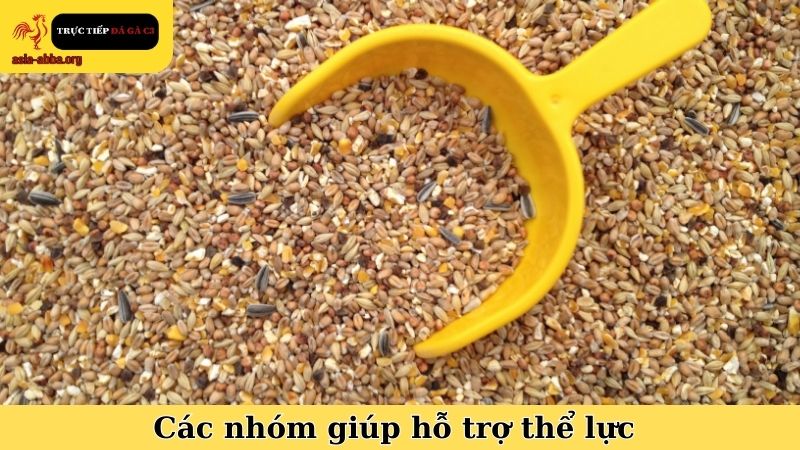 Thực phẩm giúp gà chọi mau sung và nhóm giúp hỗ trợ thể lực